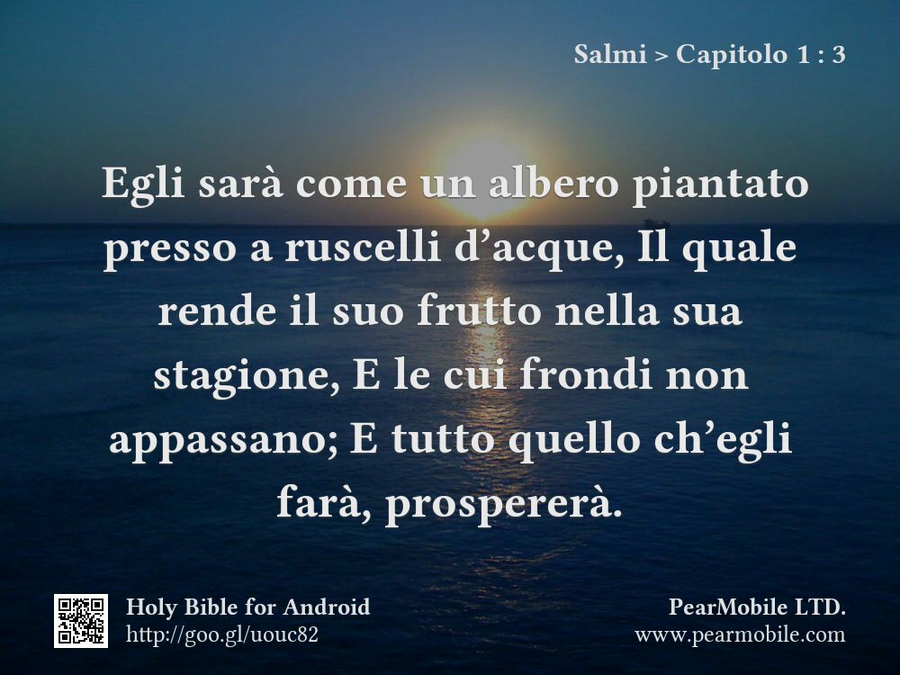 Salmi, Capitolo 1:3